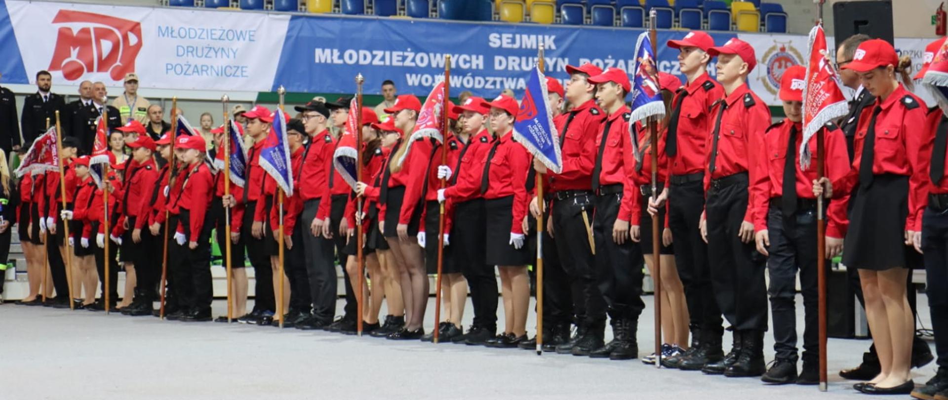 Uczestnicy wydarzenia stoją w szeregu na hali sportowej, trzymając sztandary. Wszyscy ubrani są w czerwone koszule i czarne elementy stroju. W tle widoczny duży baner z napisem „Sejmik Młodzieżowych Drużyn Pożarniczych Województwa Lubelskiego”.
