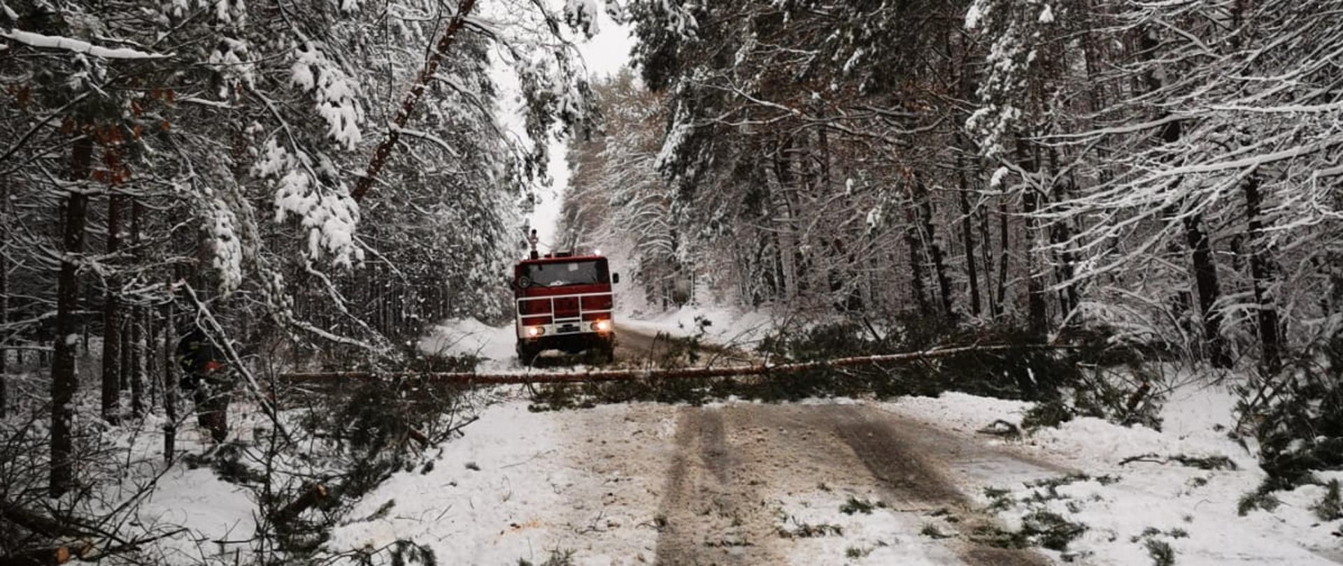 01.04.2022 Dębiny, gm. Przysucha