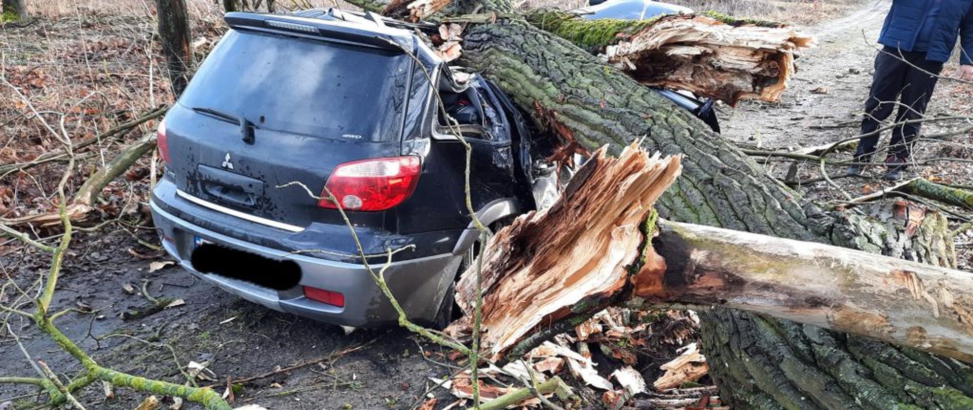 Na zdjęciu widnieją strażacy w trakcie usuwania skutków gwałtownych wichur, które przeszły nad powiatem pilskim. 