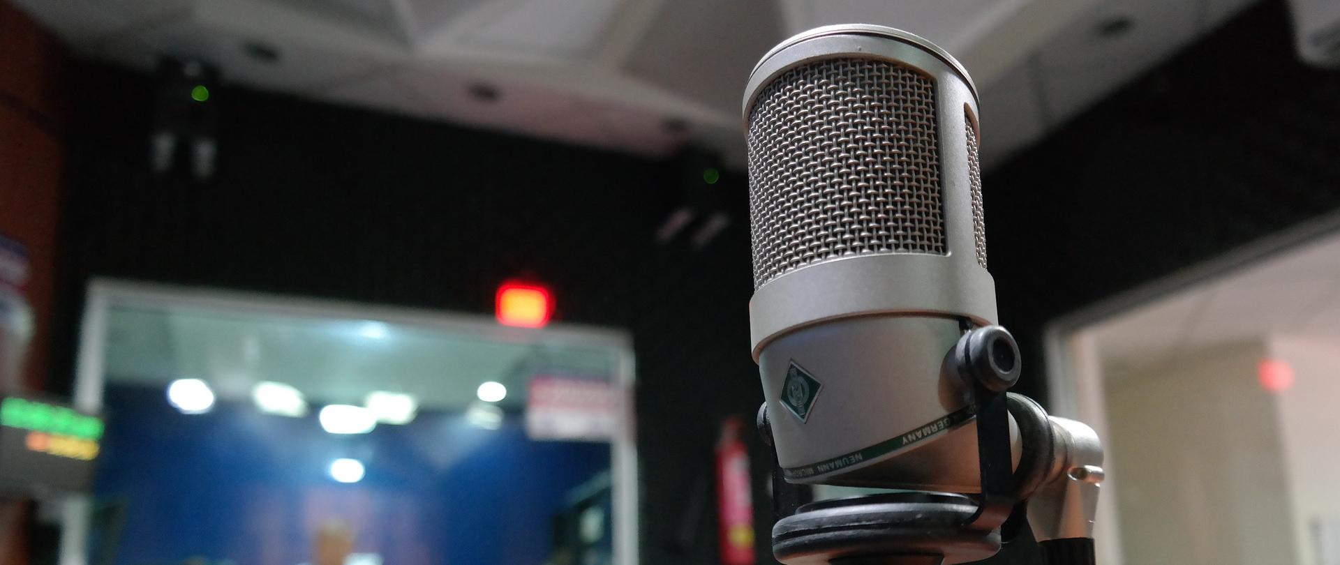 zdjęcie przedstawia mikrofon