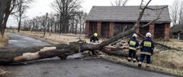 Powalone drzewo na drodze, w tle stodoła. Strażacy wycinają konary.