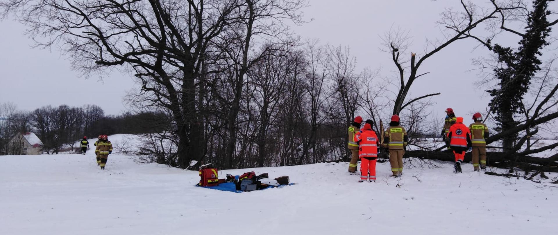 Obraz przedstawia strażaków w umundurowaniu specjalnym oraz ratowników medycznych. Osoby znajdują się na polu pokrytym śniegiem. W tle rosnące drzewa oraz jedno drzewo powalone.