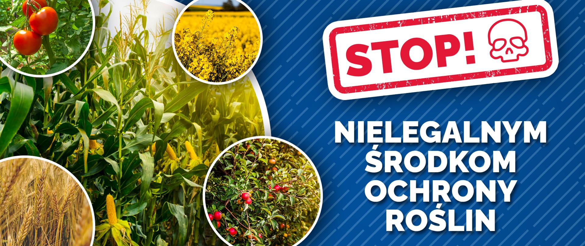 Grafika "Stop nielegalnym środkom ochrony roślin".