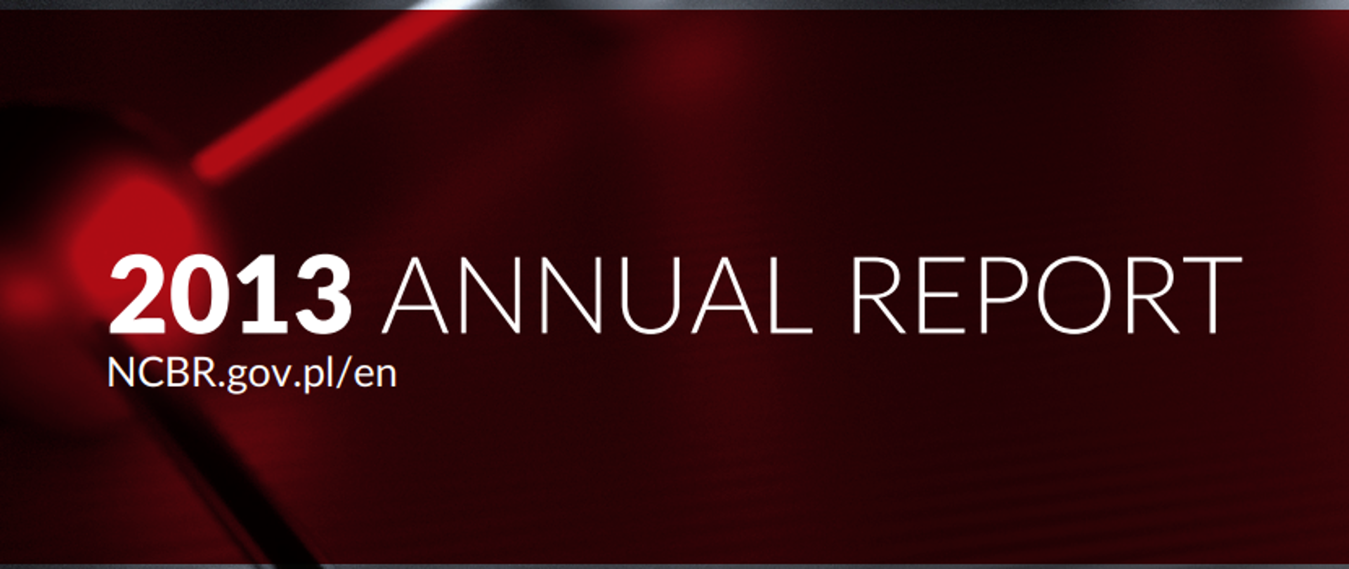 The inscription 2013 Annual Report on a red background, the rest of the background consists of spheres
