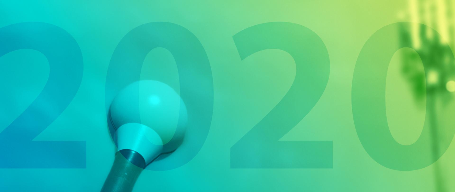 Sonda Narda oraz napis 2020