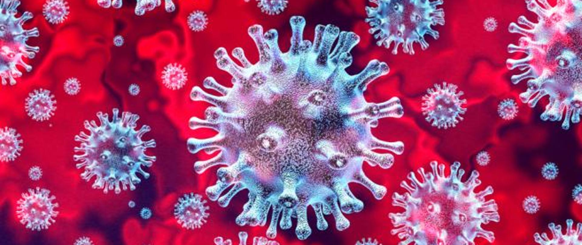 Zdjęcie przedstawia wygląd SARS-CoV-2