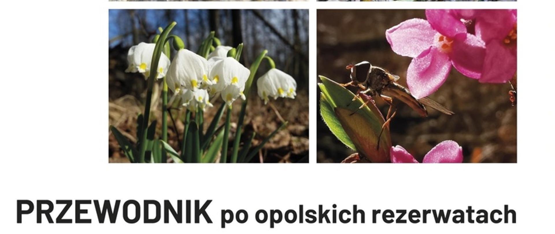 Nowy przewodnik po opolskich rezerwatach przyrody - okładka