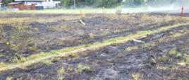 Na zdjęciu spalona powierzchnia łąki na której leżą dwie hulajnogi dziecięce. W tle strażak dogaszający pożar domy jednorodzinne i drzewa.
