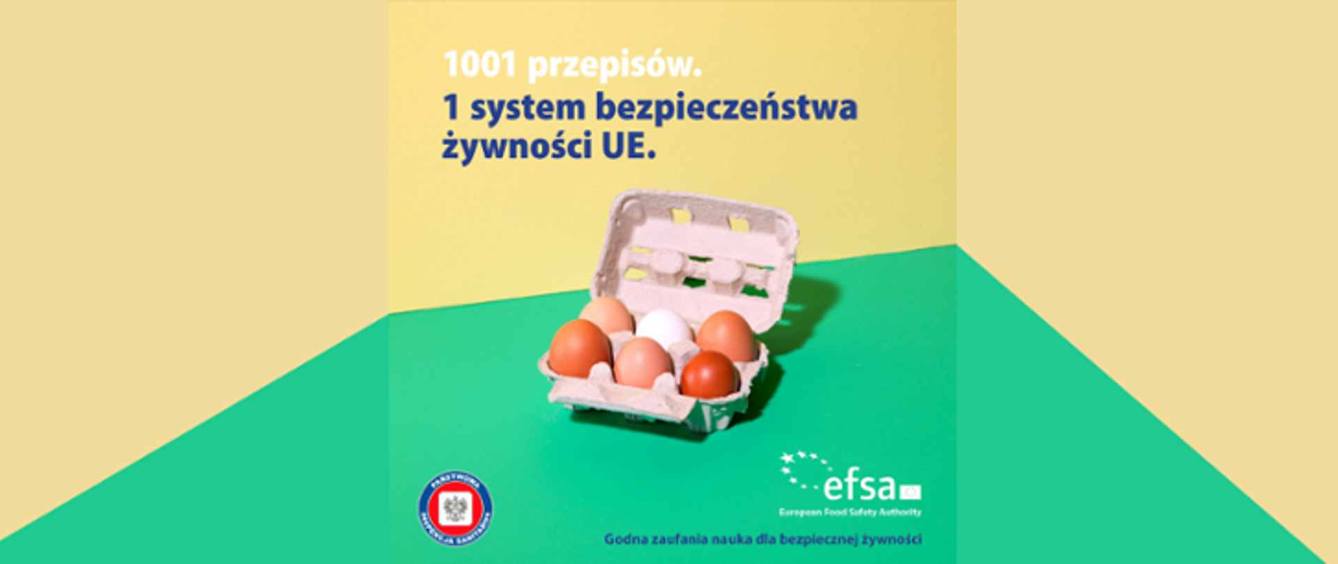 Grafika przedstawia na zielono-żółtym tle w centralnej części 6 sztuk jajek, nad nimi napis 1001 przepisów, 1 system bezpieczeństwa żywności UE. Pod jajkami logo Państwowej Inspekcji Sanitarnej oraz Europejskiego Urzędu ds. Bezpieczeństwa Żywności (EFSA)