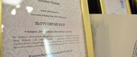 Dyplom w kategorii "Przedstawiciel administracji rządowej" dla ministra Krzysztofa Tchórzewskiego