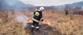 Strażak gasi pożar suchej trawy tłumicą.