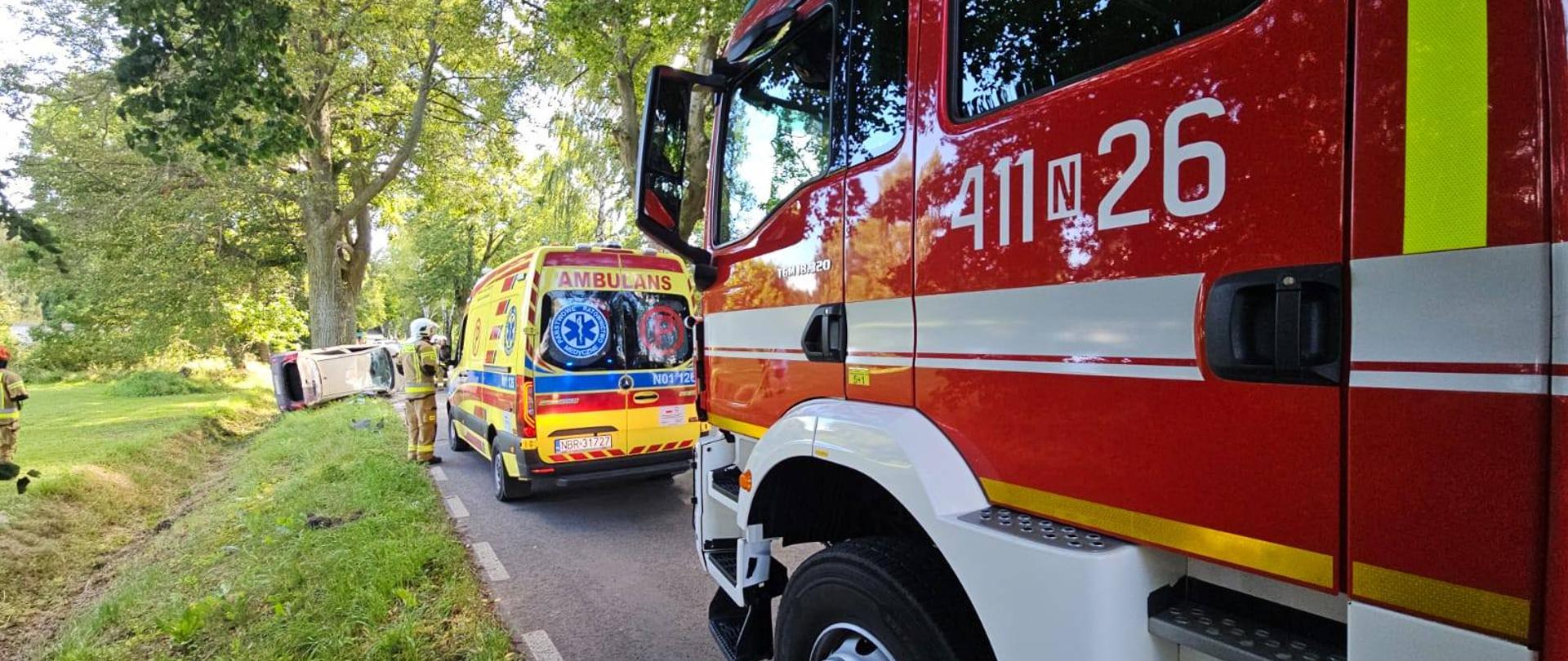 Auto uderzyło w drzewo – gm. Frombork