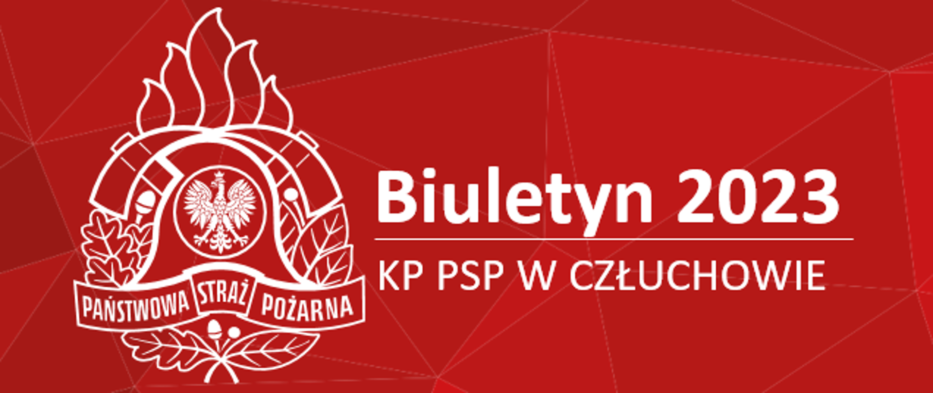 Logo Biuletynu informacyjnego