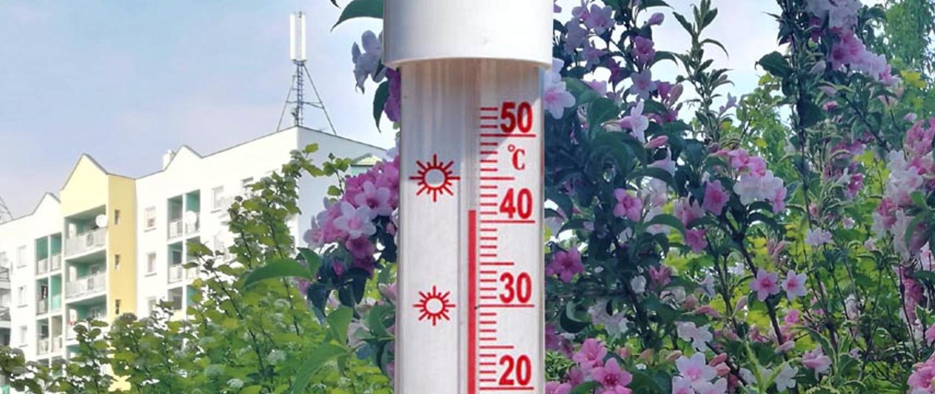 Zdjęcie przedstawia termometr z temperaturą 41 stopni Celsjusza na tle budynku i kwiatów na drzewach