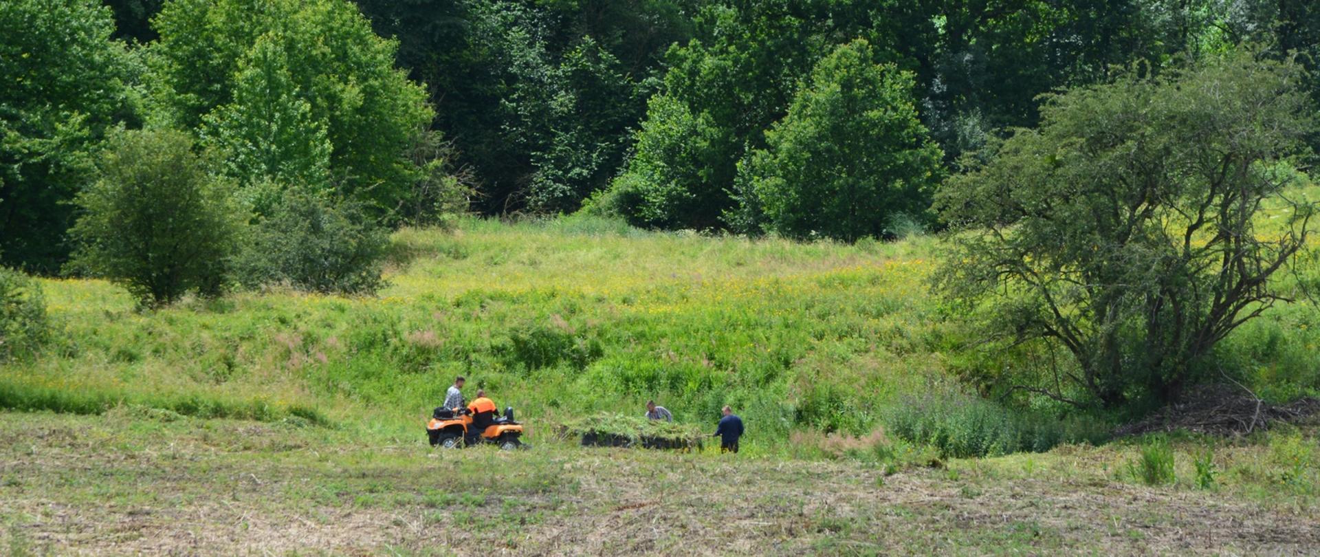 Działania ochronne w opolskich rezerwatach przyrody - zdjęcie