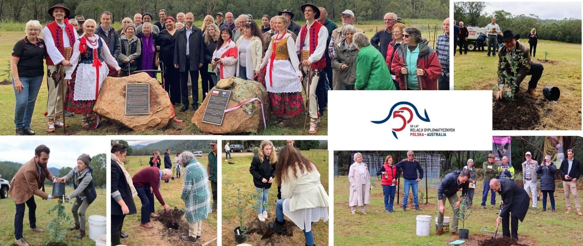 50 drzew na 50-lecie