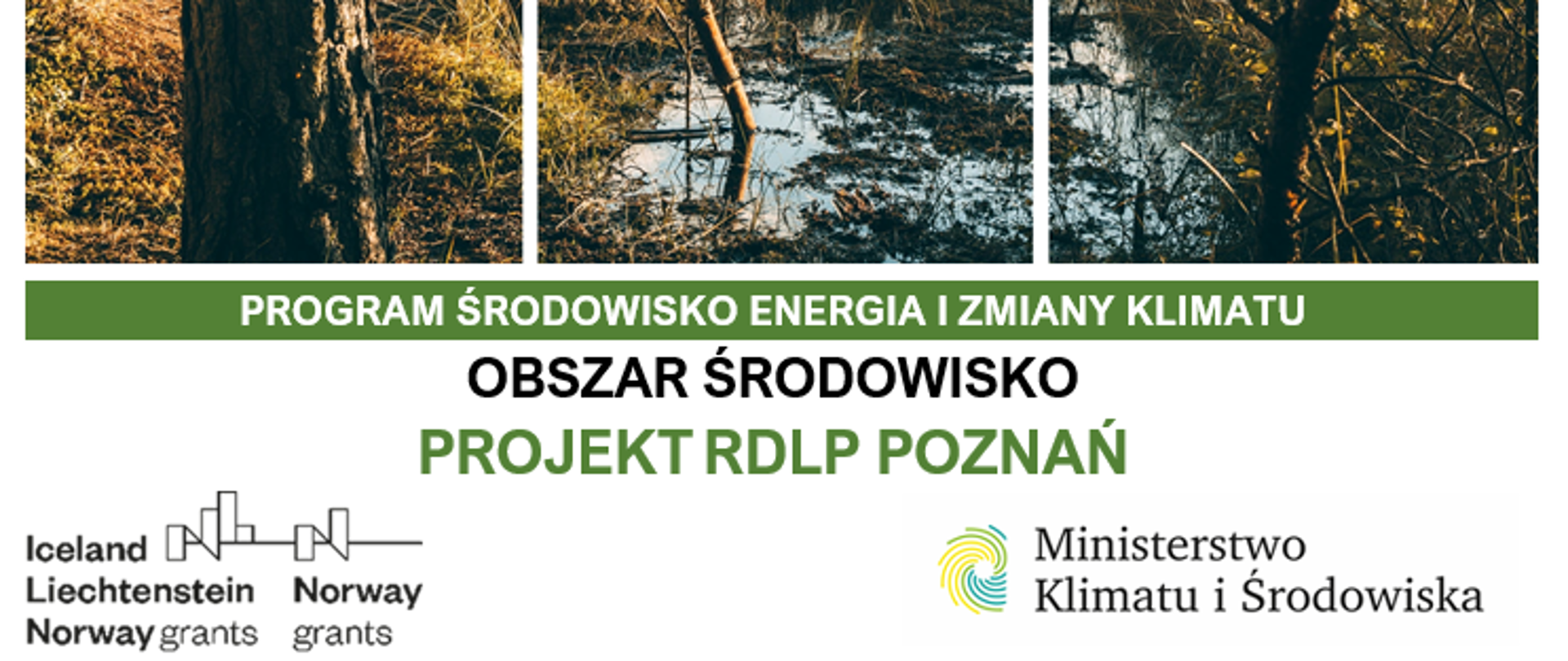 Projekt "Kompleksowa renaturyzacja mokradeł" RDLP Poznań MF EOG