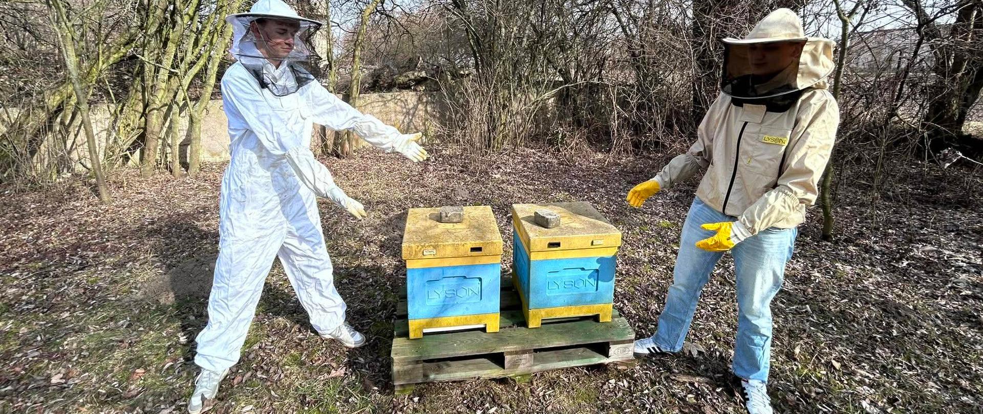 Uczniowie klasy 3TW podczas zajęć koła pszczelarskiego 