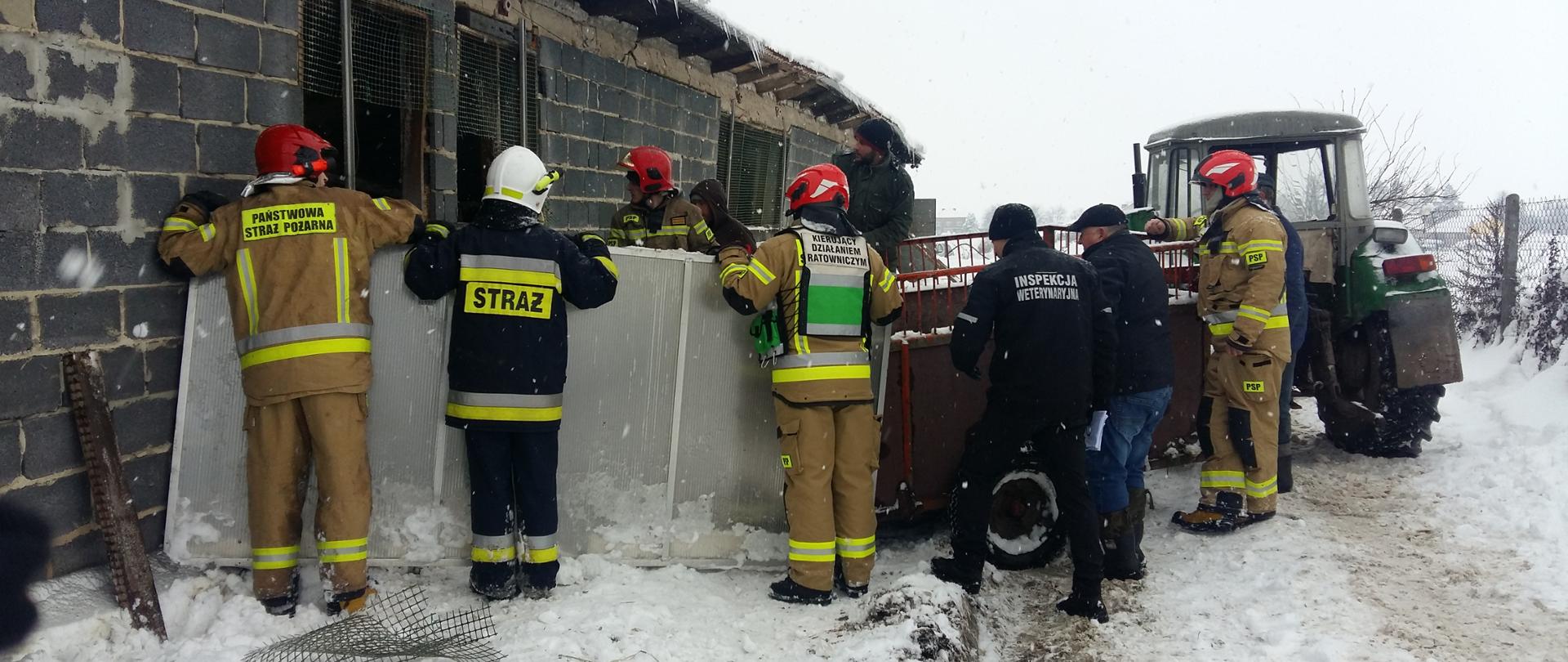 Działania ratownicze przy uszkodzonym budynku inwentarskim
