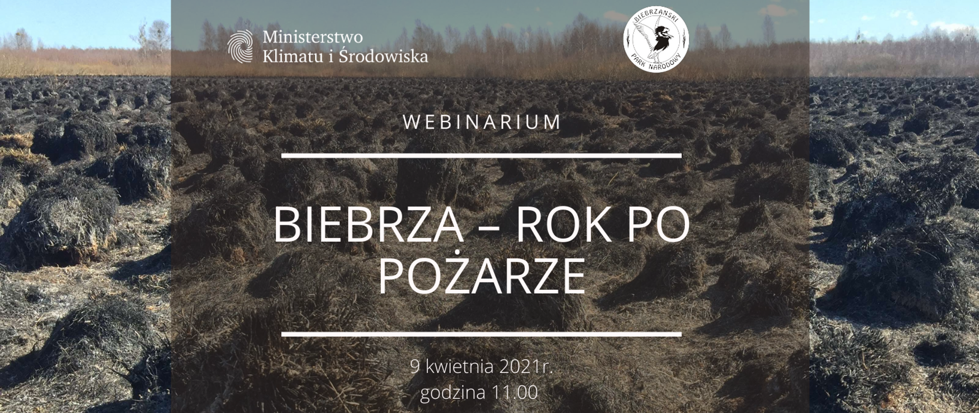 Biebrza rok po pożarze