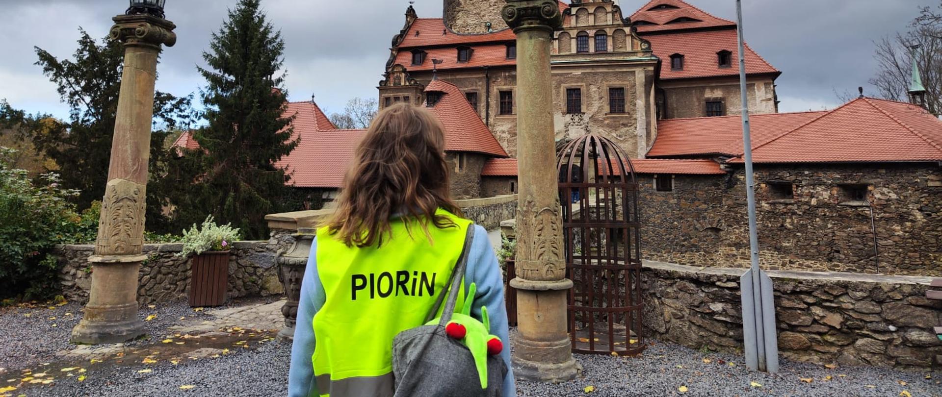 Inspektor WIORiN stojący tyłem na tle zamku.