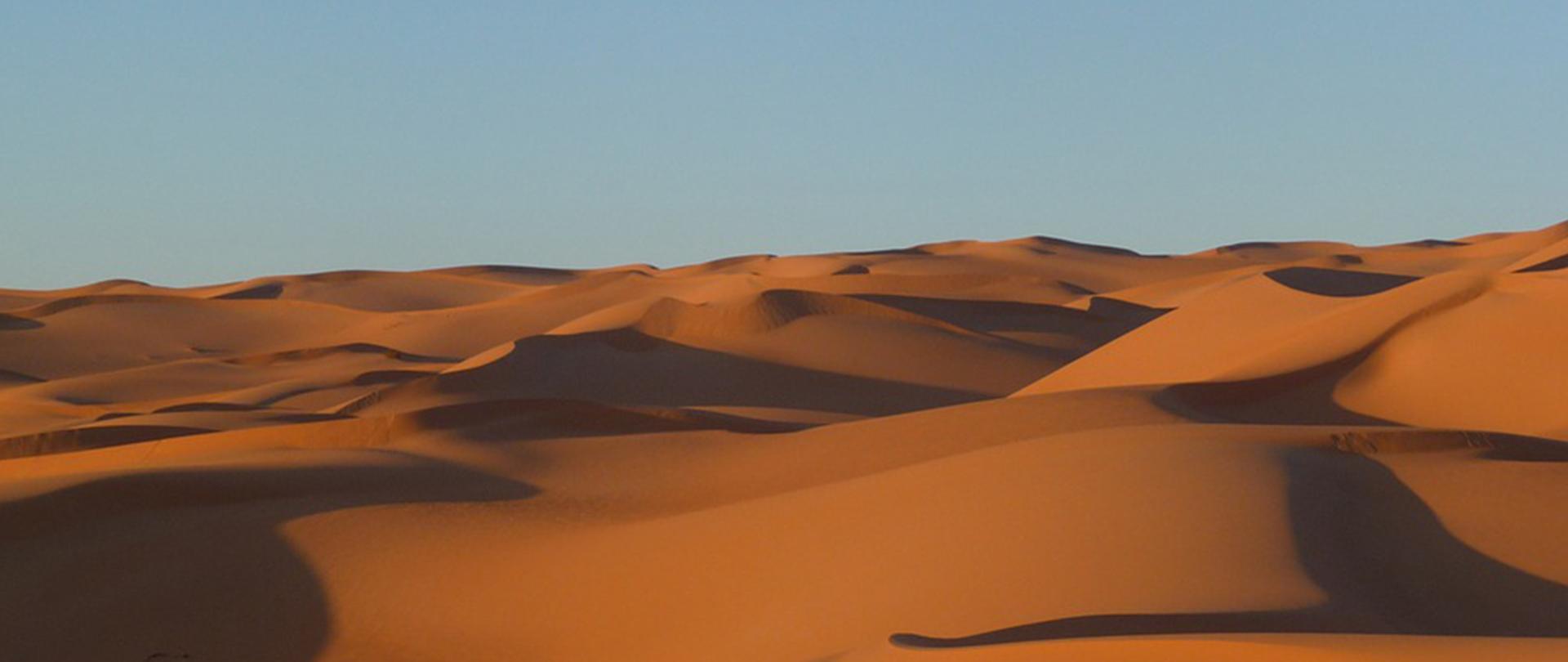 Na zdjęciu: pustynia 