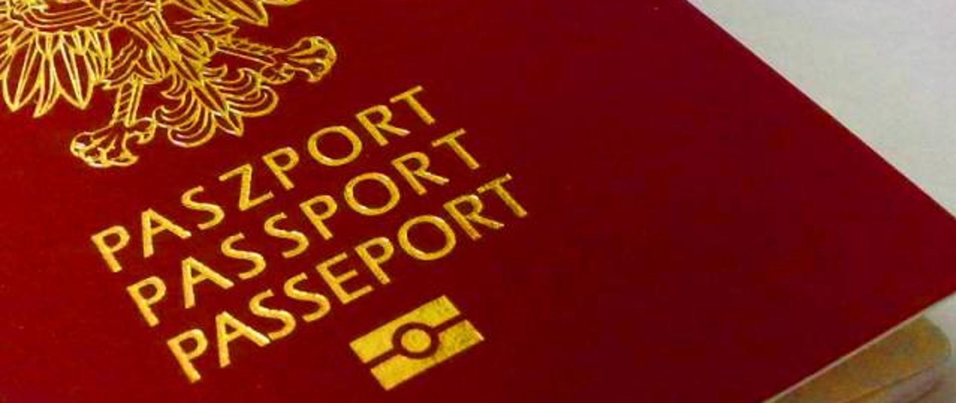 paszport_dyżur