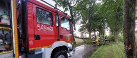 Usuwanie skutków nawałnicy w powiecie szczecineckim - strażacy przy pomocy pilarek spalinowych usuwają drzewo leżące w poprzek drogi