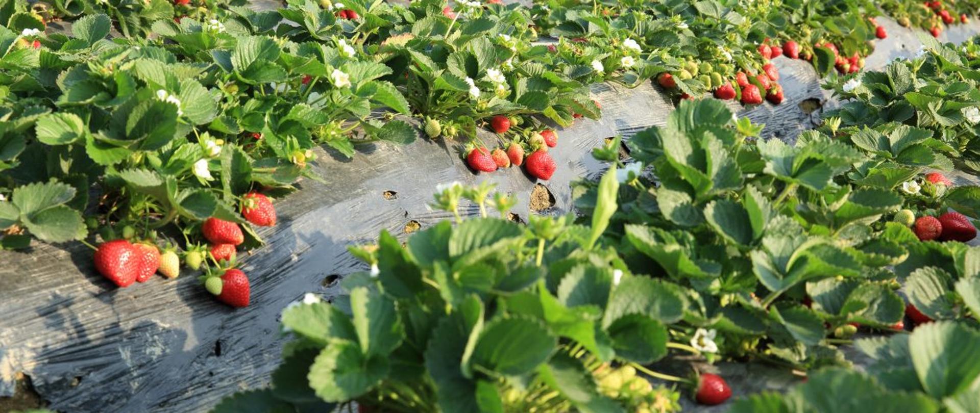 Depositphotos_108749590_xl-2015-1140x520