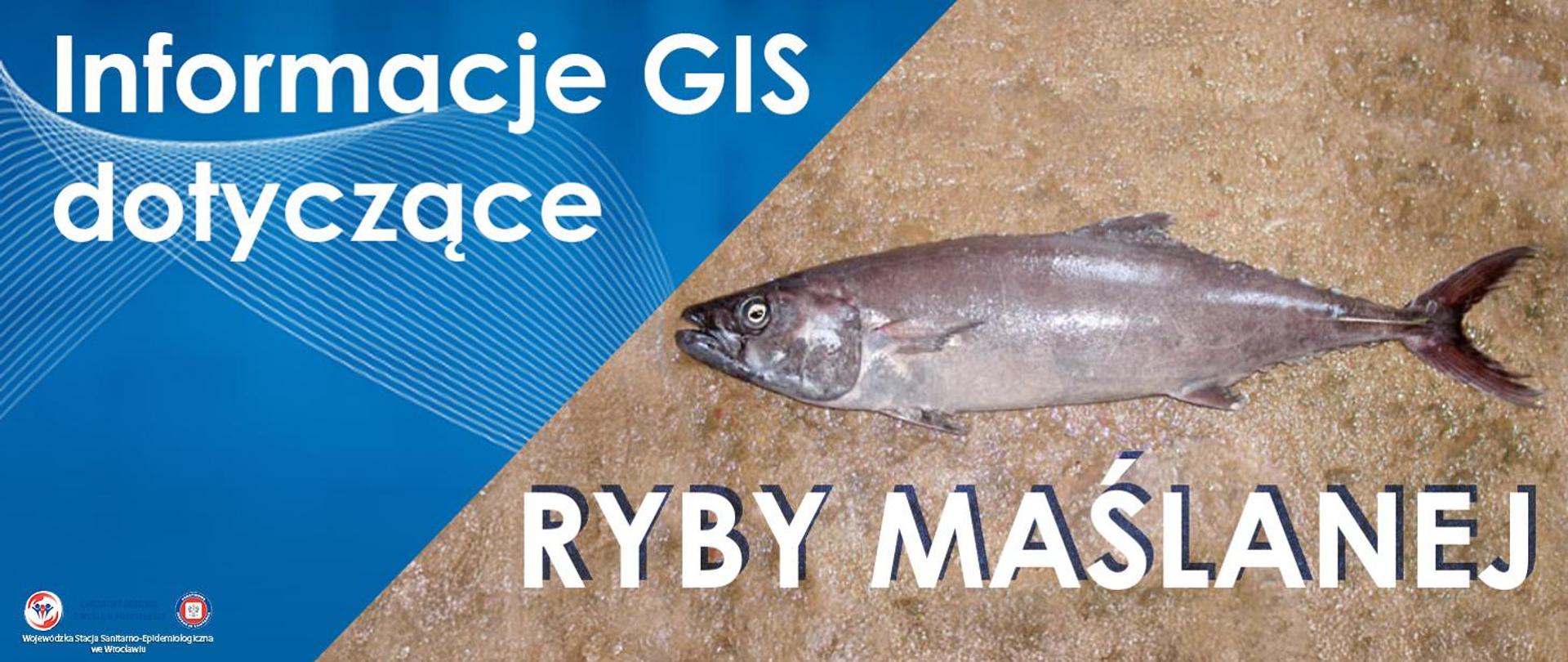 Informacja GIS dotyczące Ryby Maślanej