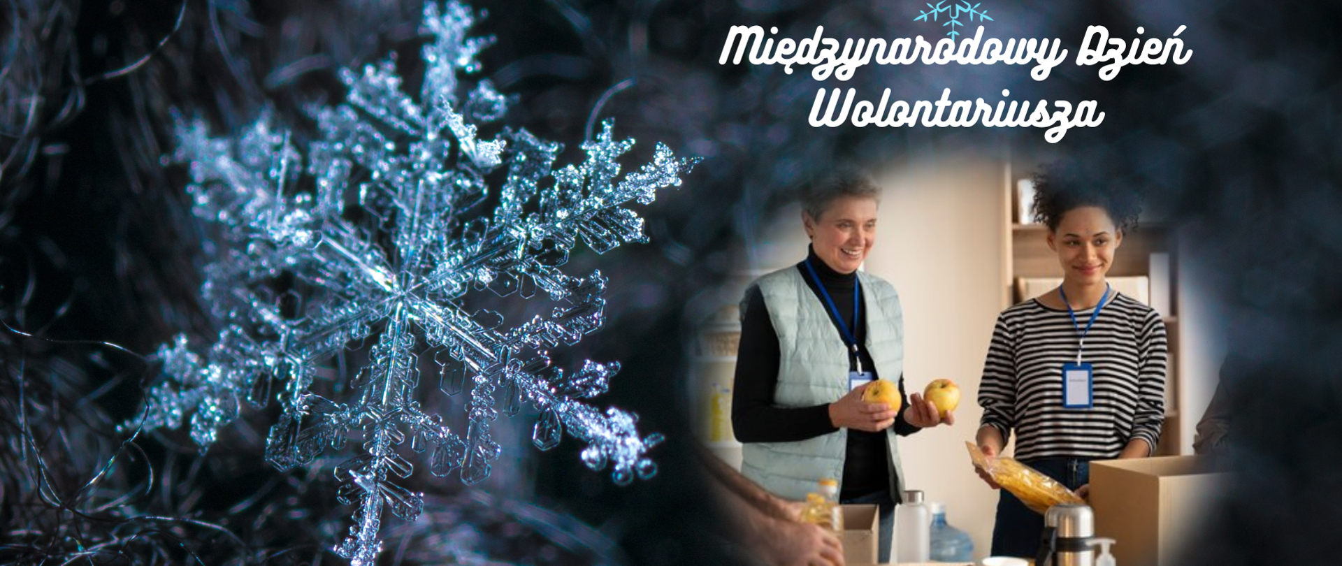 Baner Międzynarodowy Dzień Wolontariusza