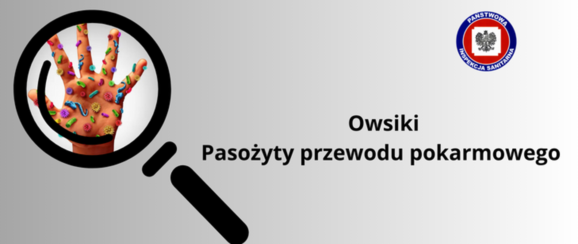 Na jasnoszarym tle z lewej strony czarna lupa pod którą w powiększeniu widać dłoń i znajdujące się na niej kolorowe bakterie i wirusy. Z prawej strony czarny napis Owsiki Pasożyty przewodu pokarmowego, a w prawym górnym rogu logo Państwowej Inspekcji Sanitarnej. 