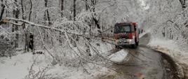 Samochód ratowniczo-gaśniczy pośród lasu. Przed pojazdem ułamany konar drzewa blokujący drogę. 