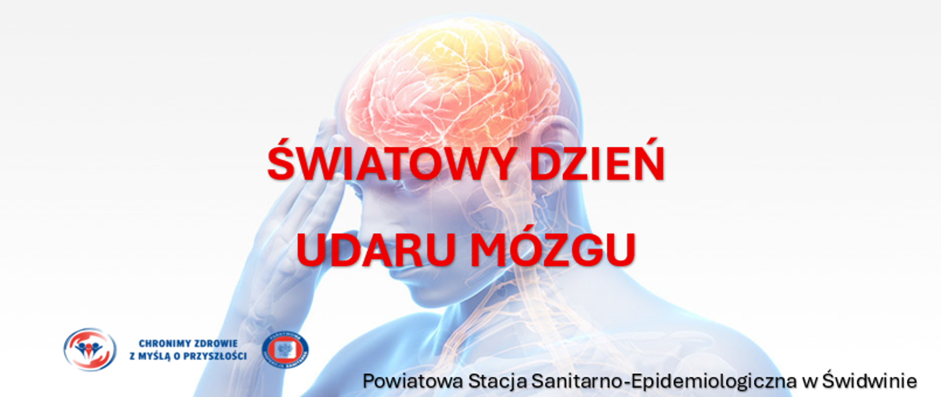 ŚWIATOWY DZIEŃ UDARU MÓZGU