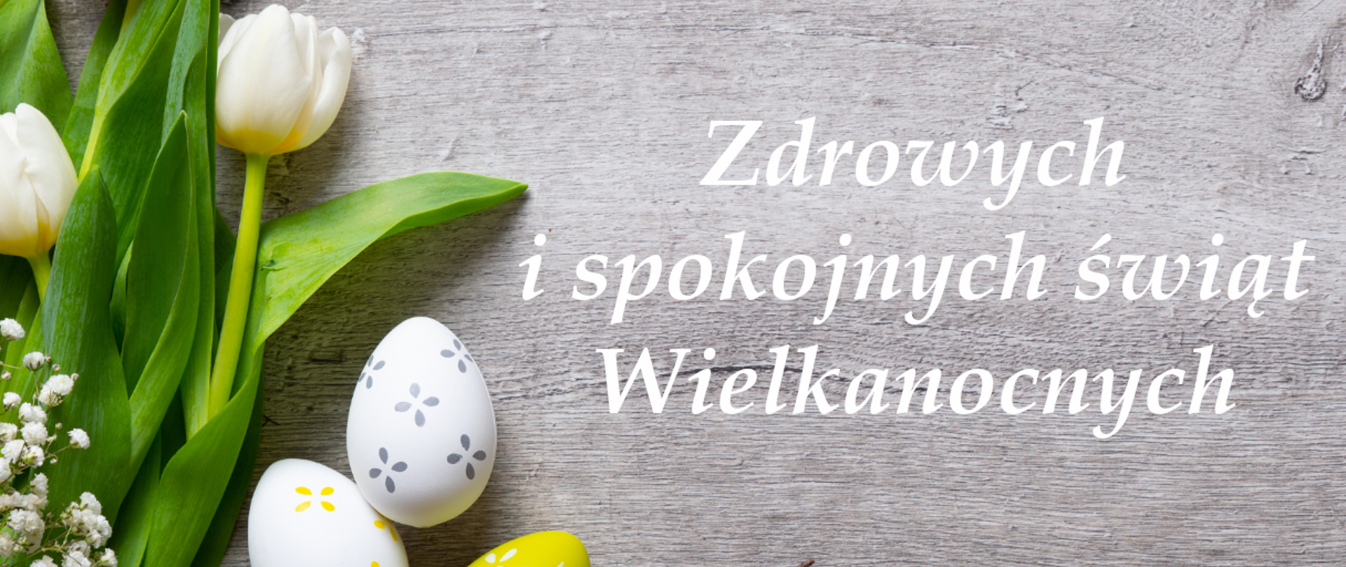 Na jasnym tle zdjęcie białych kwiatów oraz pisanek a także napis Zdrowych i spokojnych świąt Wielkanocnych