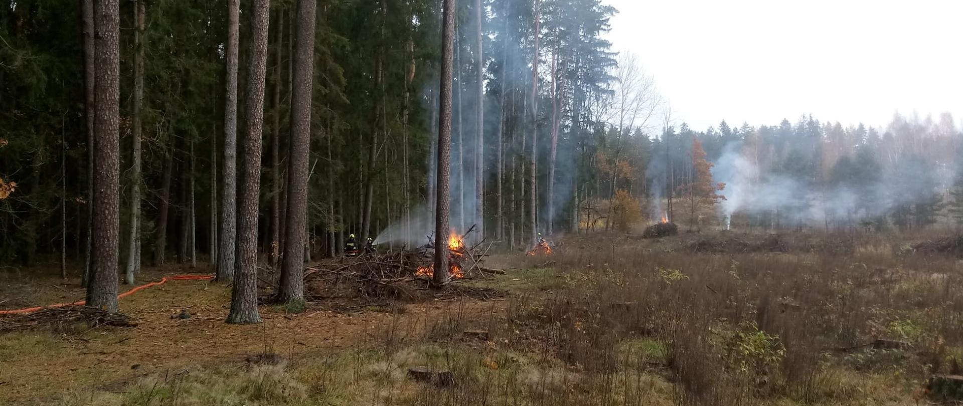 Na polanie widać palące się ogniska, które pozorują pożar lasu. 