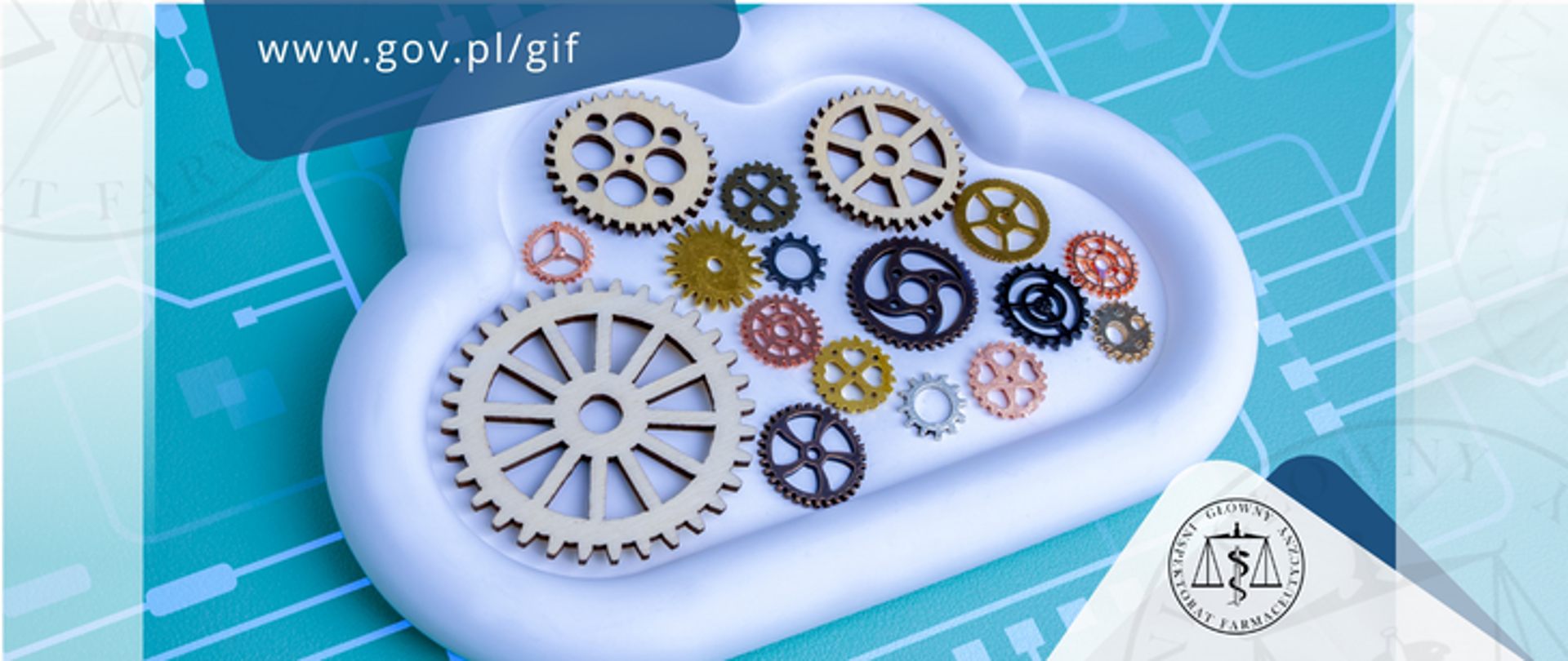 Przypomnienie zasad postępowania w przypadku problemów technicznych systemu PLMVS