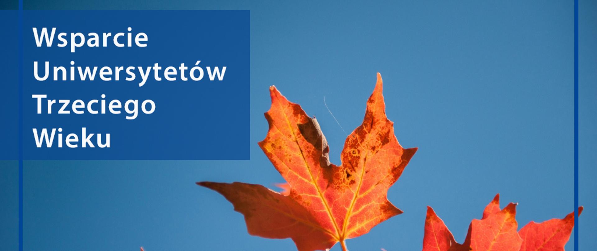 Grafika - na tle jesiennych liści i niebieskiego nieba napis Wsparcie Uniwersytetów Trzeciego Wieku