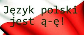 jezyk-polski-jest-a-e-bronmy-jezyka-polskiego
