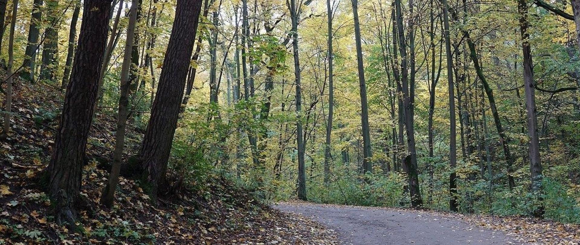 Wąwóz Szaniawskiego 