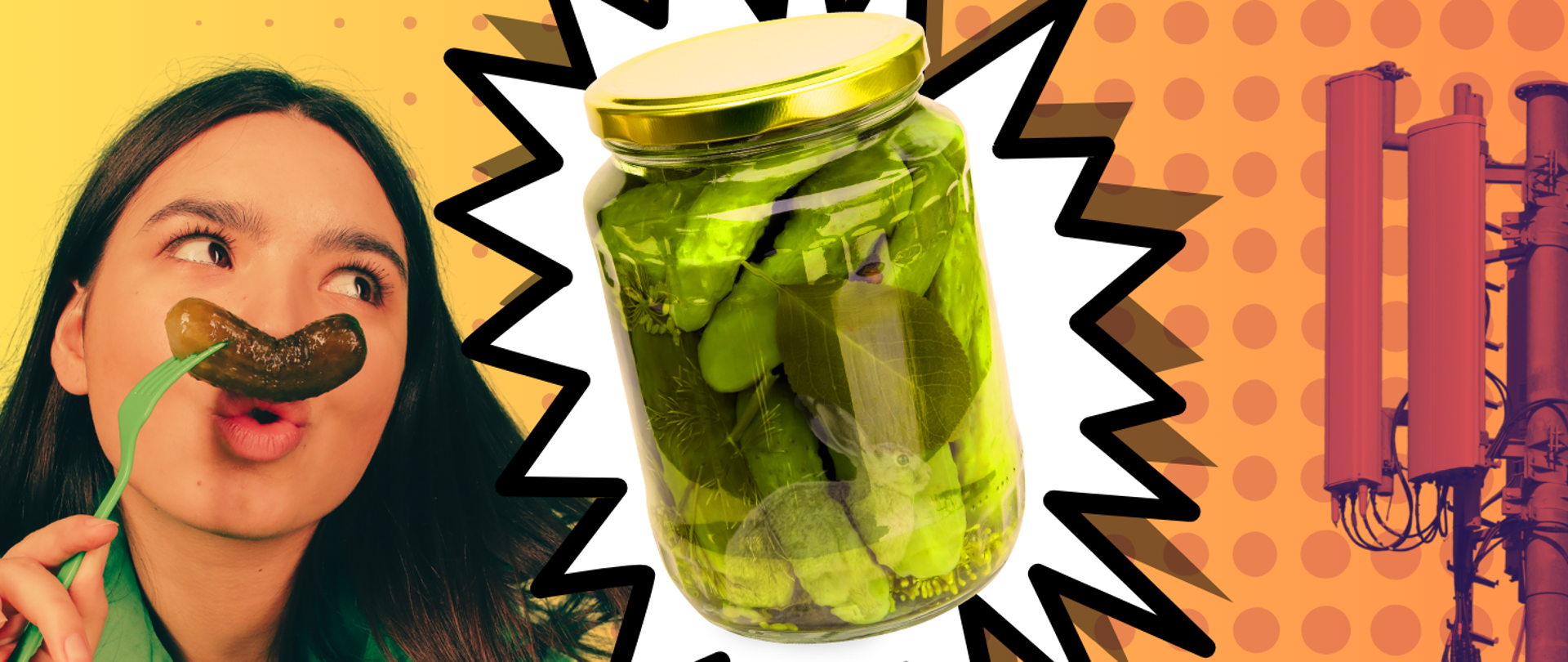 Na pierwszym planie, pośrodku zdjęcie słoika z ogórkami kiszonymi, które rozdziela zdjęcie anten komórkowych (po prawej) i kobiety trzymającej ogórek kiszony na widelcu (po lewej).