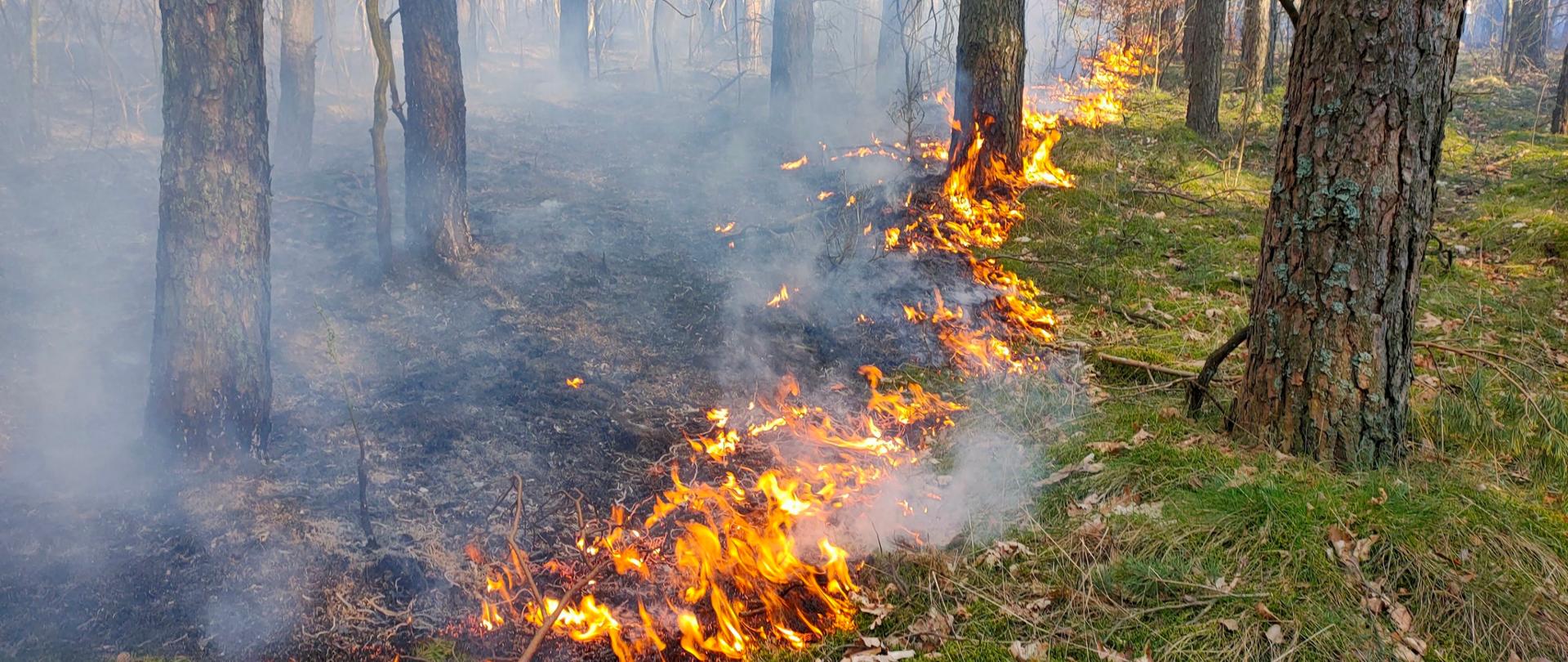PODSUMOWANIE TYGODNIOWEJ DZIAŁALNOŚCI KOMENDY
