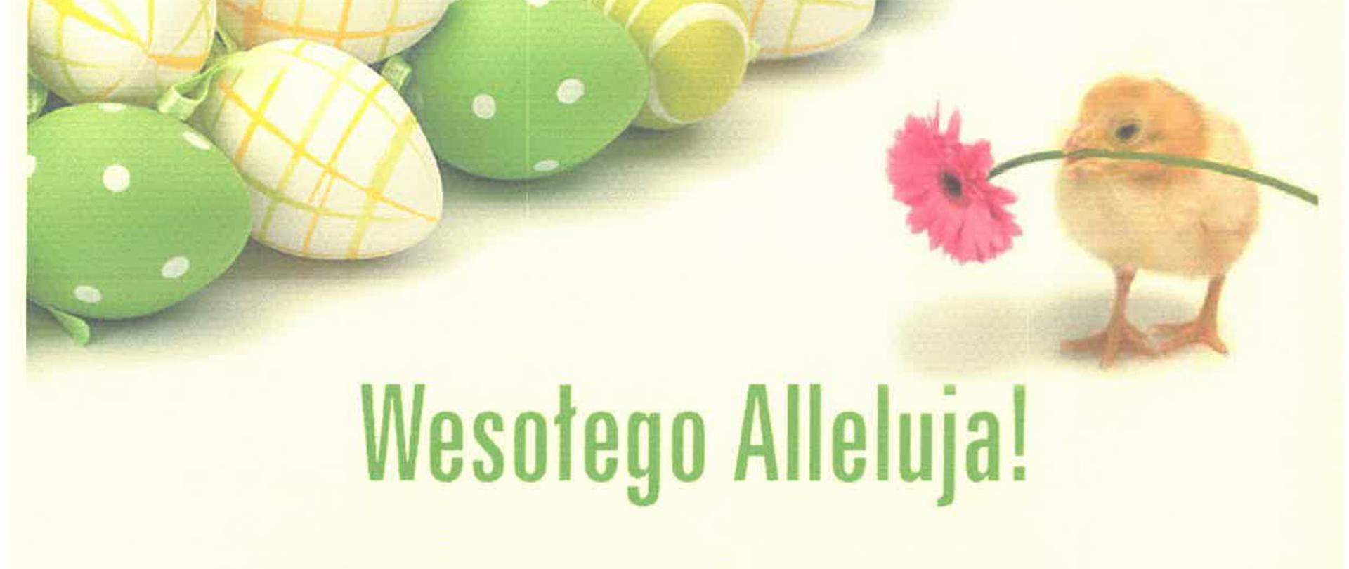 Życzenia Świąteczne Komendanta Powiatowego Państwowej Straży Pożarnej starszego brygadiera Macieja Suchomskiego. Zdjęcie przedstawia kartkę świąteczną wielkanocną z pomalowanymi jajkami i pisklakiem trzymającym w dziobie kwiatek. Na górze zielony napis Wesołego Alleluja, a pod spodem tekst życzeń: Święta Wielkanocne to czas zadumy, ale i radości ze Zmartwychwstania Chrystusa. Tegoroczny okres Wielkiej Nocy będzie dla nas czasem szczególnej refleksji. Nade wszystko życzymy Państwu zdrowia, bo ono dziś jest nam najbardziej potrzebne i nadziei na lepsze jutro, aby odeszły Nasze troski i zmartwienia, a w Naszych sercach na nowo zagościła radość i poczucie bezpieczeństwa. Niech ciepło płynące z ludzkiej serdeczności zagości we wszystkich sercach.