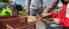 Zdjęcie przedstawia uczestników warsztatów budowania domków dla owadów