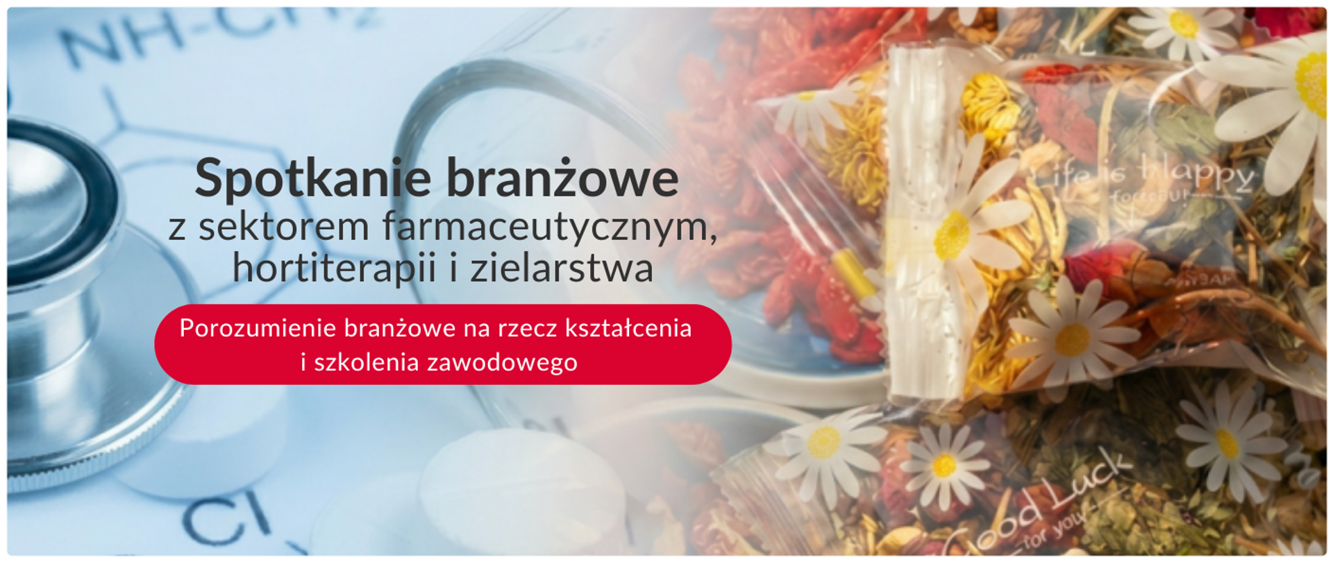 Spotkanie branżowe z sektorem farmaceutycznym, hortiterapii i zielarstwa
