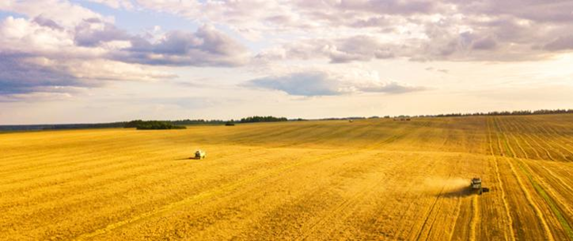 grafika przedstawia kombajny podczas trwających żniw