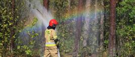 Strażak gasi las