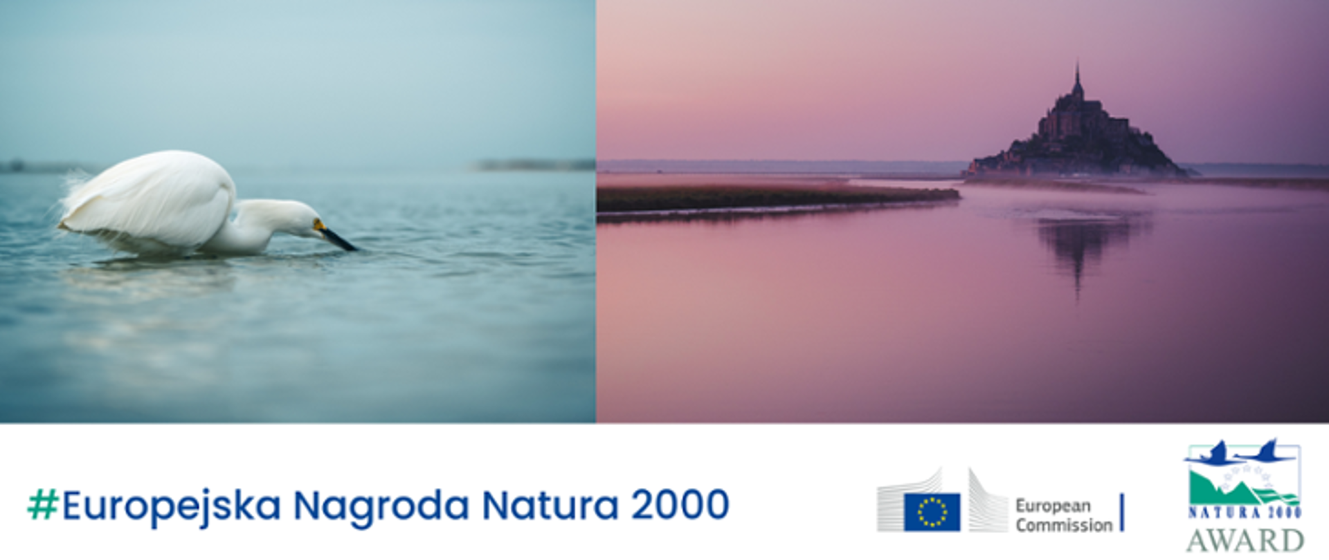 Dwa zdjęcia zestawione ze sobą. Na jednym biały ptak na wodzie, na drugim krajobraz z budowlą typu zamek. Na dole napis #Europejska Nagroda Natura 2000 i dwa logotypy: Komisji Europejskiej i Europejskiej Nagrody Natura 2000.