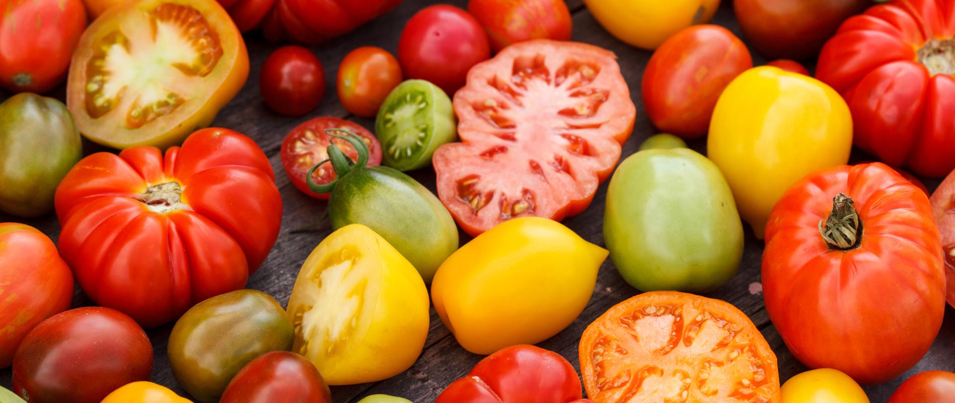 colorful tomatoes
