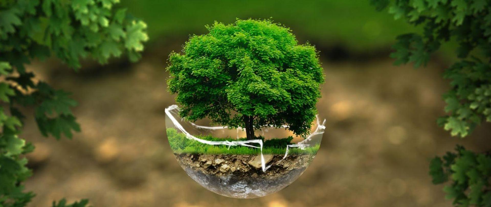 Światowy Dzień Środowiska